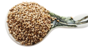 sesame